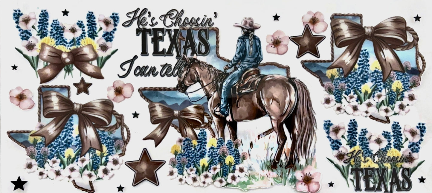 Choosin Texas Decal #6