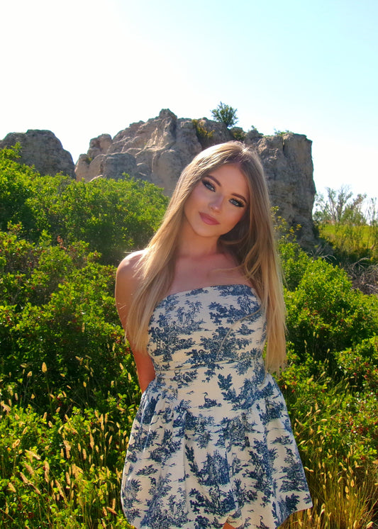 Blue Bell Breeze Mini Dress