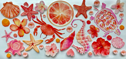 Beach Starfish and Turtles Decal