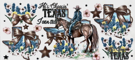 Choosin Texas Decal #6